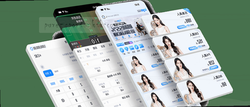 用户隐私权益说明